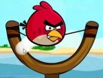 angry birds